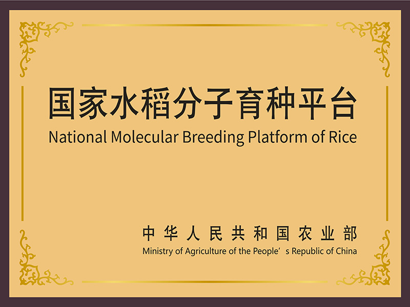 国家水稻分子育种平台